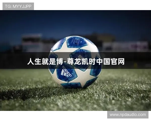 尊龙凯时简介：总结尊龙凯时在行业中的品牌影响力及未来发展方向
